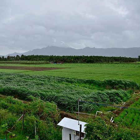 Lakshmi Illam Near Isha Yoga Adiyogi Apartment Alandurai Exterior photo