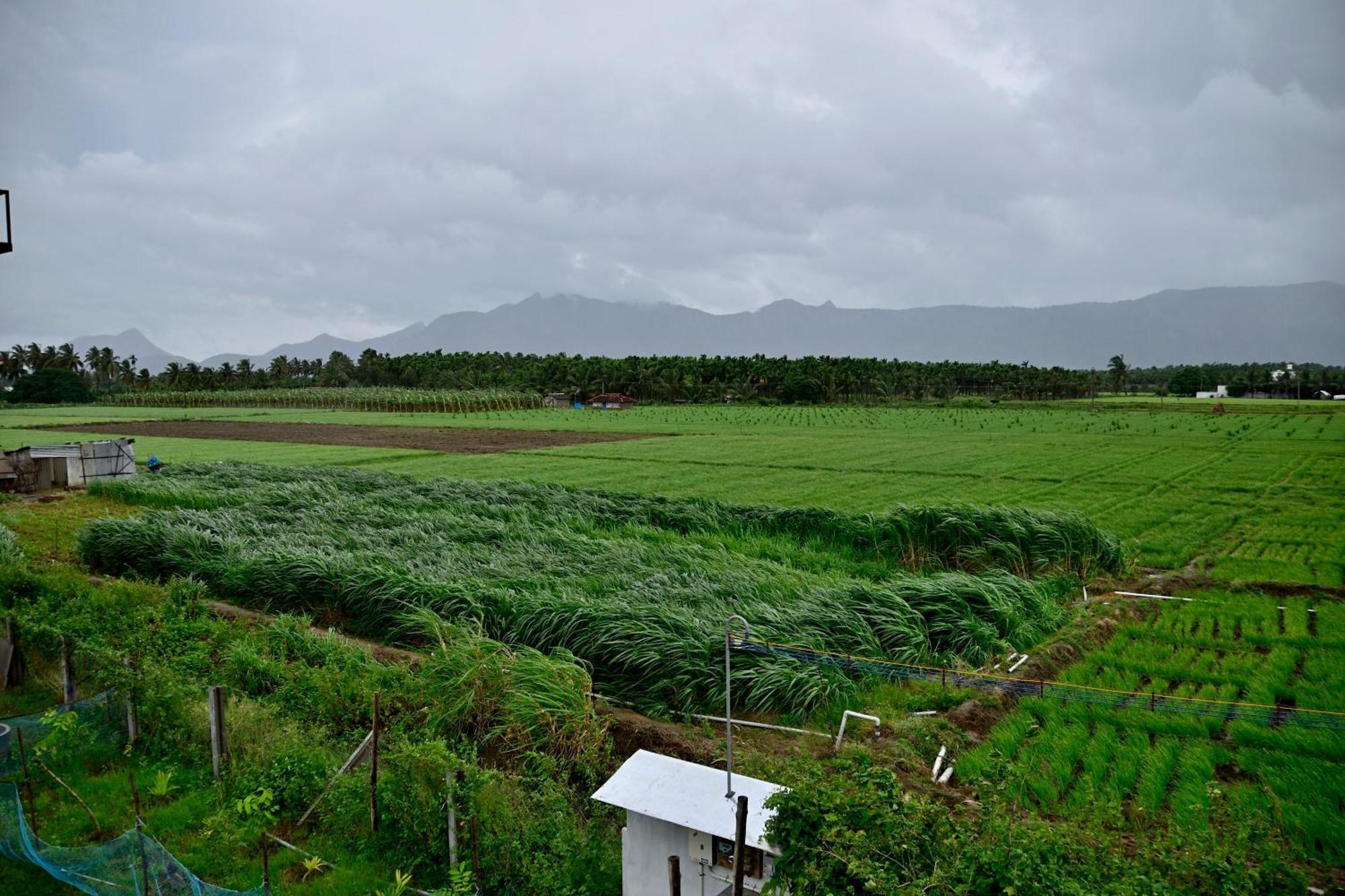 Lakshmi Illam Near Isha Yoga Adiyogi Apartment Alandurai Exterior photo